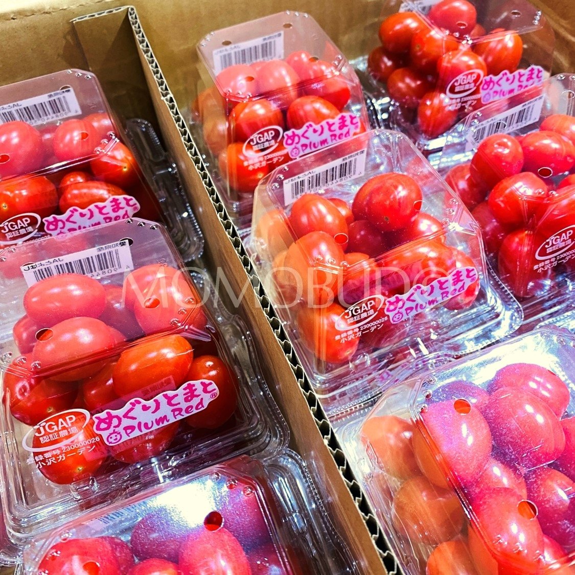 Meguri Plum Red Cherry Tomato (125g punnet) - Image 3