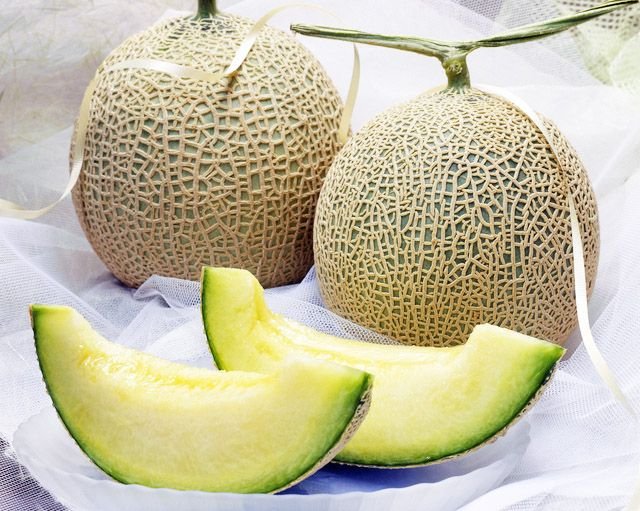 Melts Green Muskmelon (Medium) - Image 5