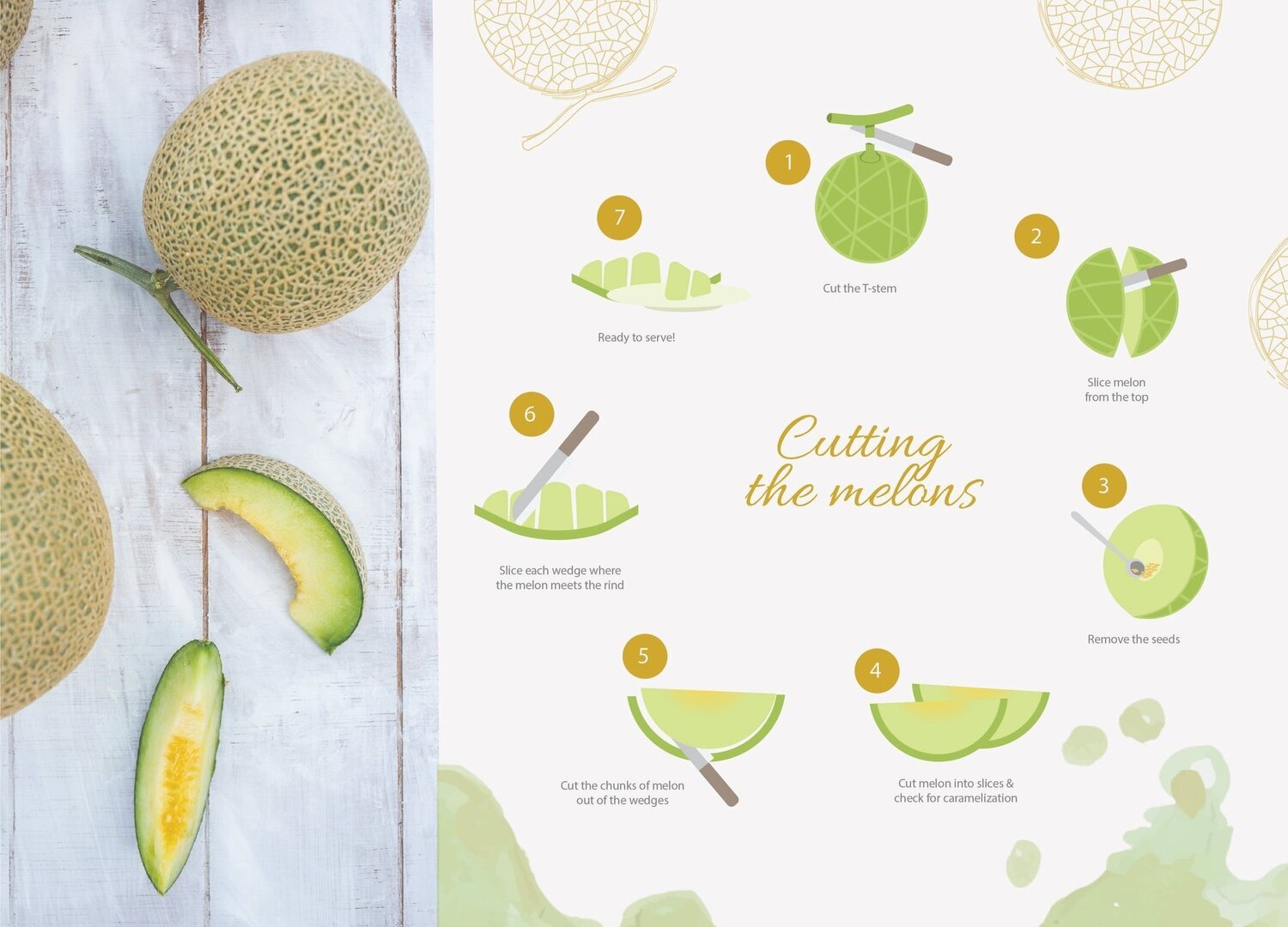 Melts Green Muskmelon (Medium) - Image 4