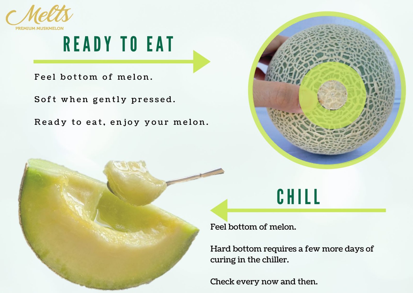 Melts Green Muskmelon (Medium) - Image 3