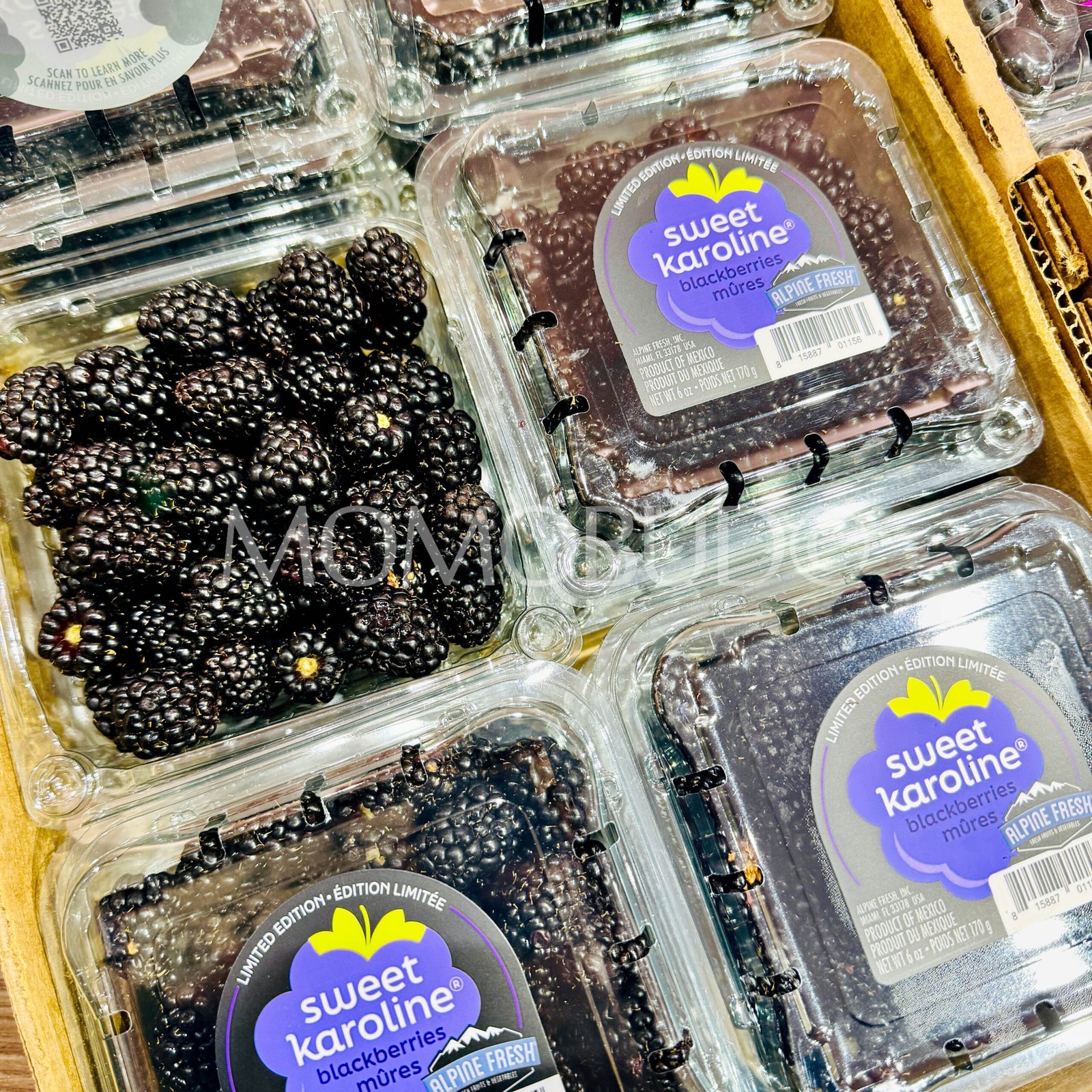 Sweet Karoline® Blackberry (170g punnet) - Image 2