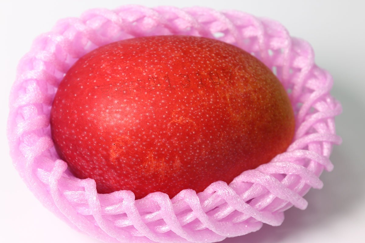 Japanese Miyazaki Kanjuku Mango - Image 5