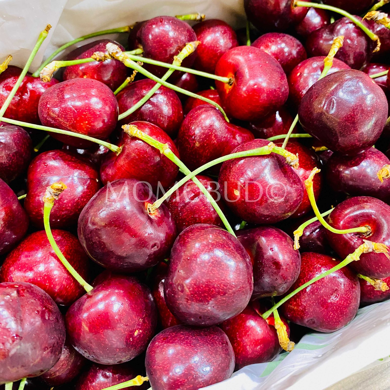 Gold Reserve 1863 Staccato Red Cherry Gift Box (2kg) - Image 3