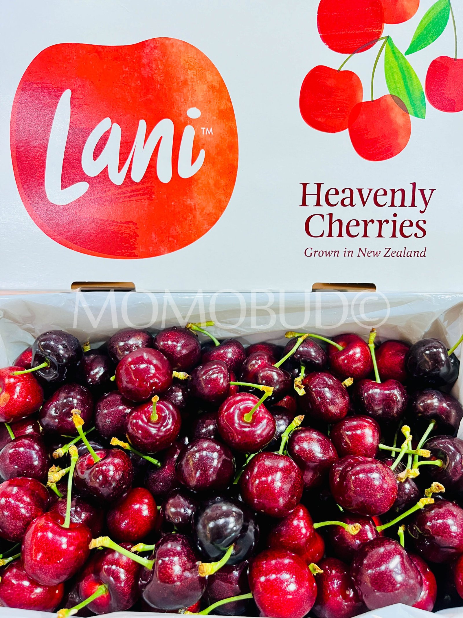 New Zealand Lani™ Folfer Red Cherry - Image 2