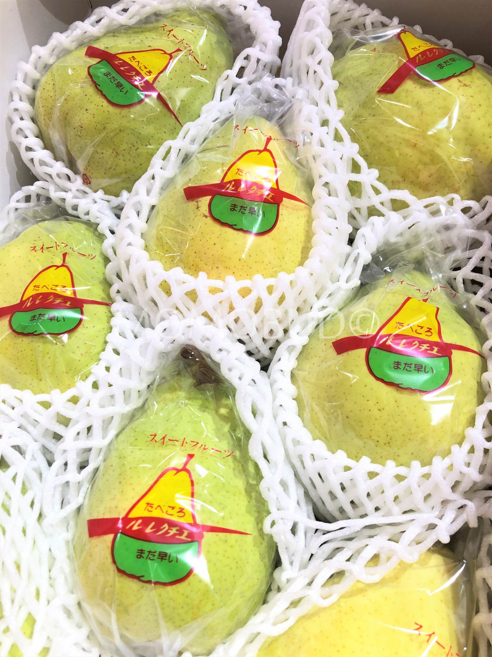 Japanese Matsukawa Le Lectier Pear - Image 2