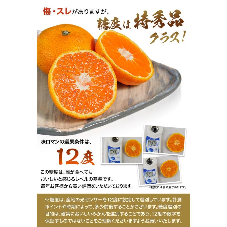 Japanese Ajiroman Mikan (Mandarin Orange, 1kg approx) - Image 4