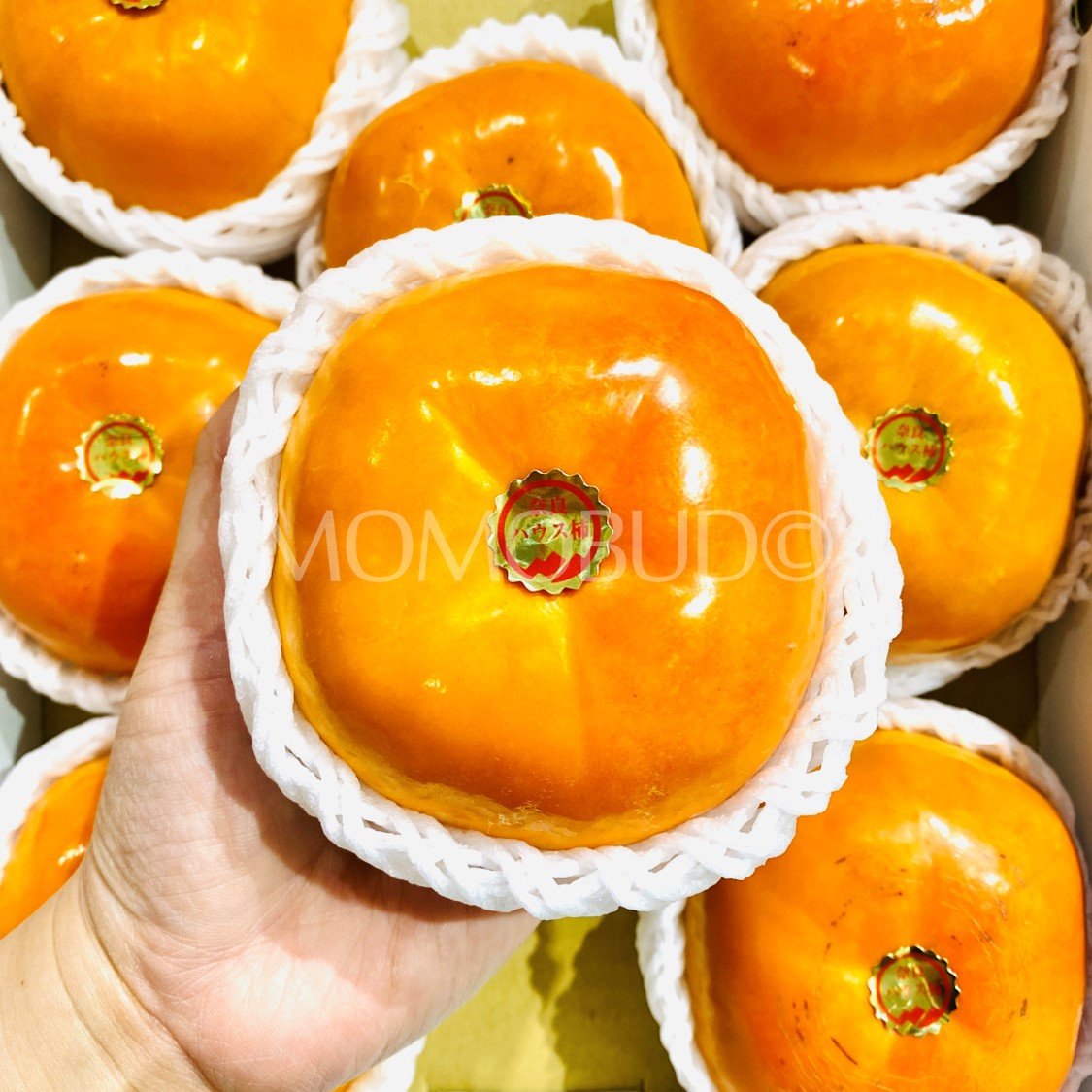 Japanese Nara Soushuu House Persimmon Gift Box (2kg) - Image 4