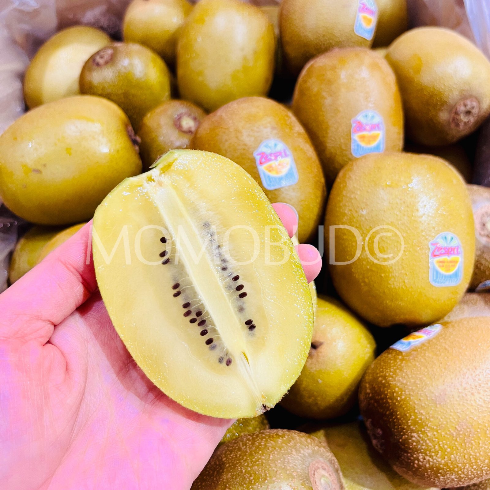 Zespri Jumbo Sungold Kiwi - Image 3