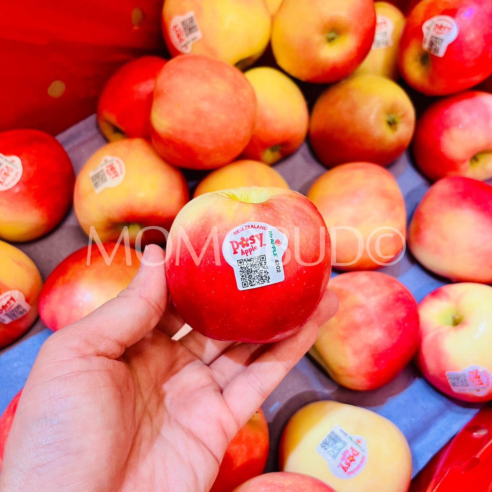 Posy™ Apple (Small, 6pcs) - Image 2