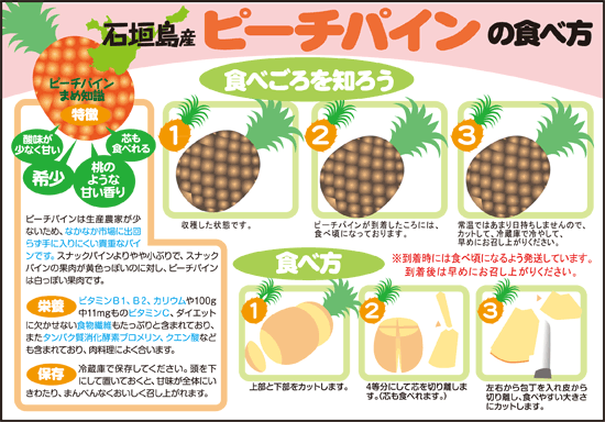 *Final Markdown* Japanese Okinawa Peach Pineapple - Image 5