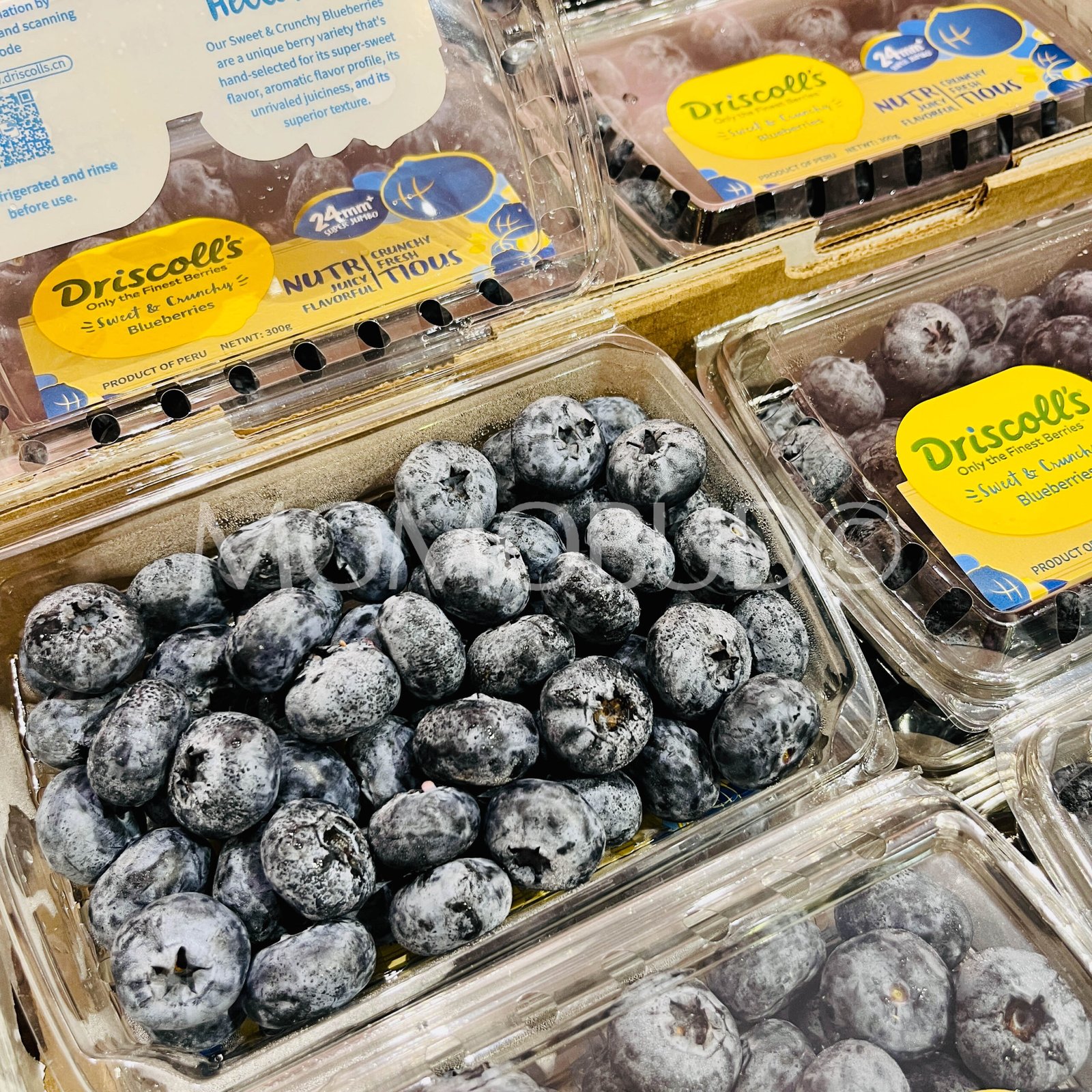 Peru Driscoll's Super Jumbo Blueberry (300g punnet) - Image 2