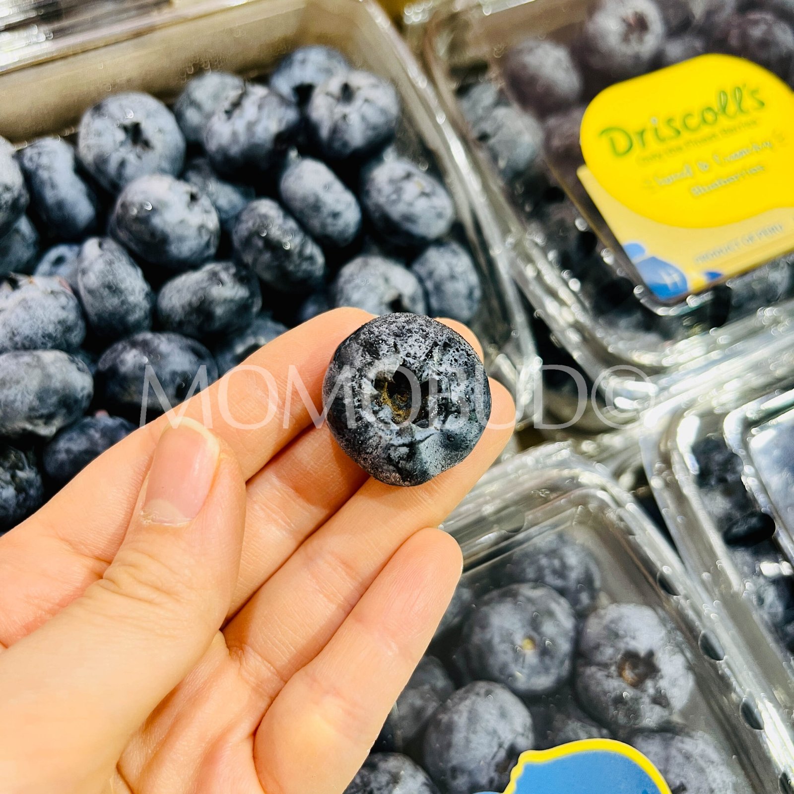 Peru Driscoll's Super Jumbo Blueberry (300g punnet) - Image 3
