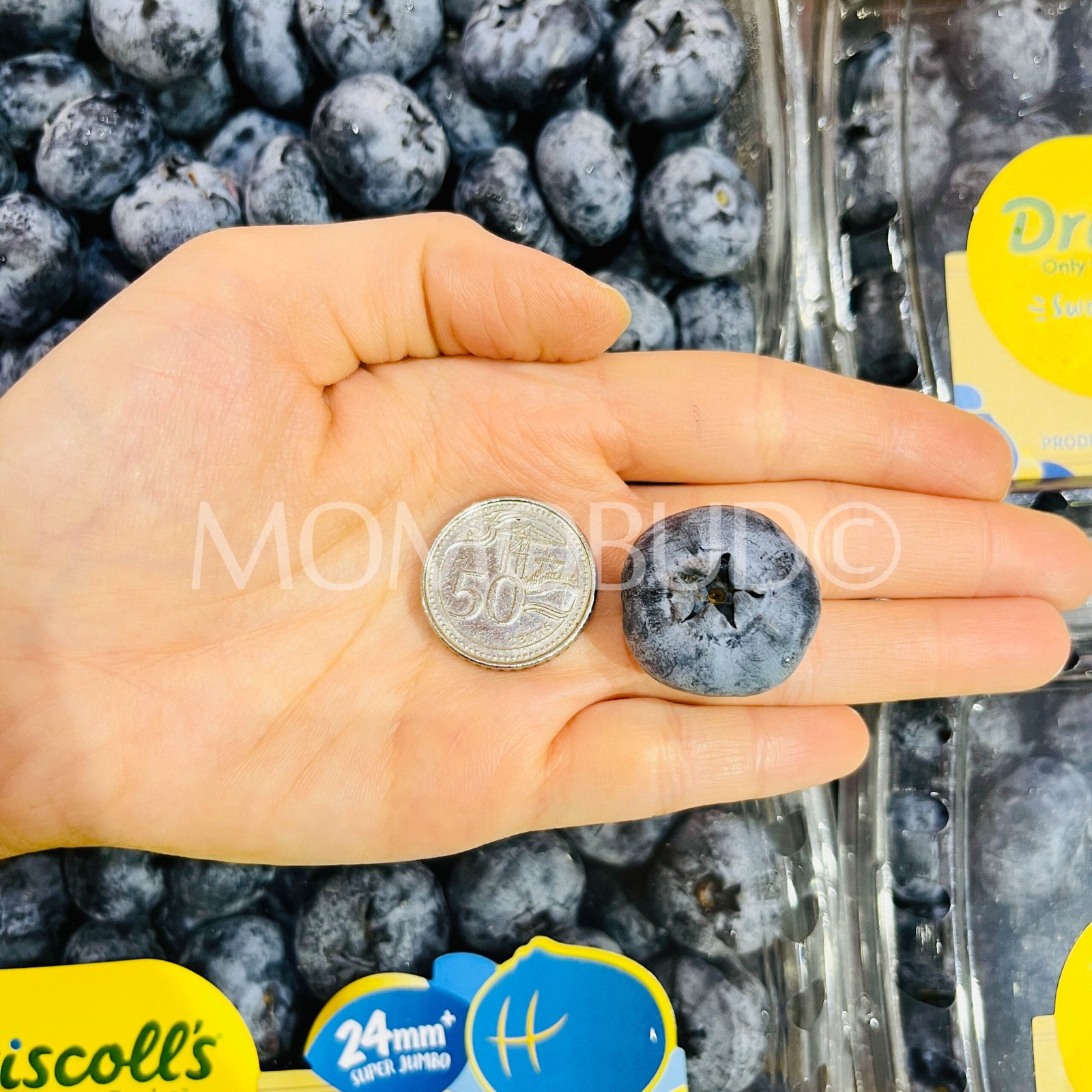 Peru Driscoll's Super Jumbo Blueberry (300g punnet) - Image 4