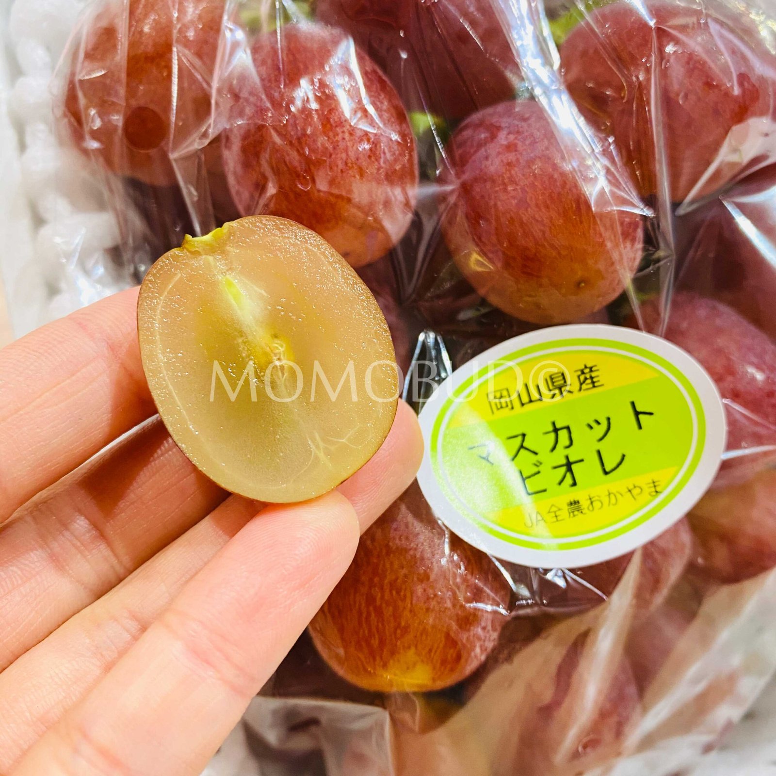 Japanese Muscat Biore Seedless Grapes Gift Box - Image 3