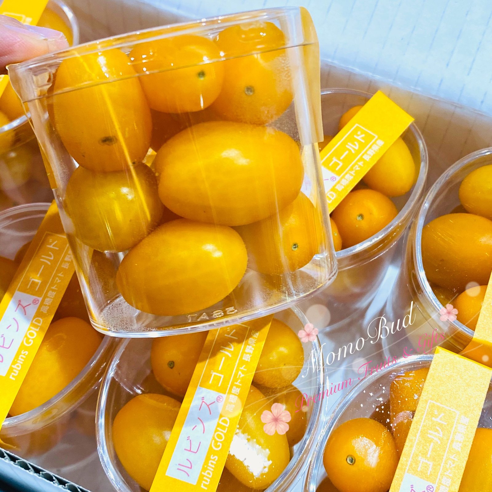 Japanese Rubins Gold Tomato - Image 3