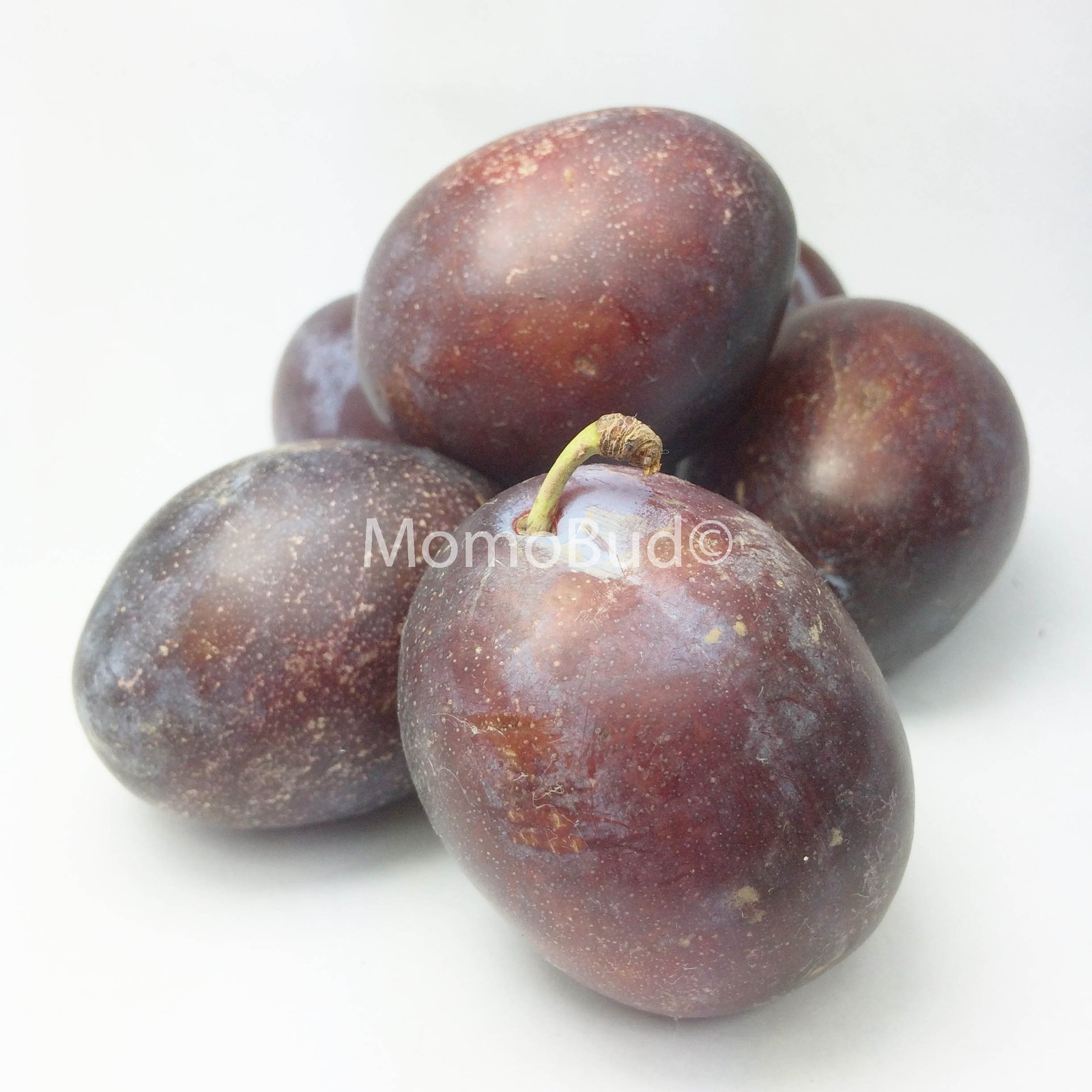 D’Agen Mini Sugar Plum - Image 3