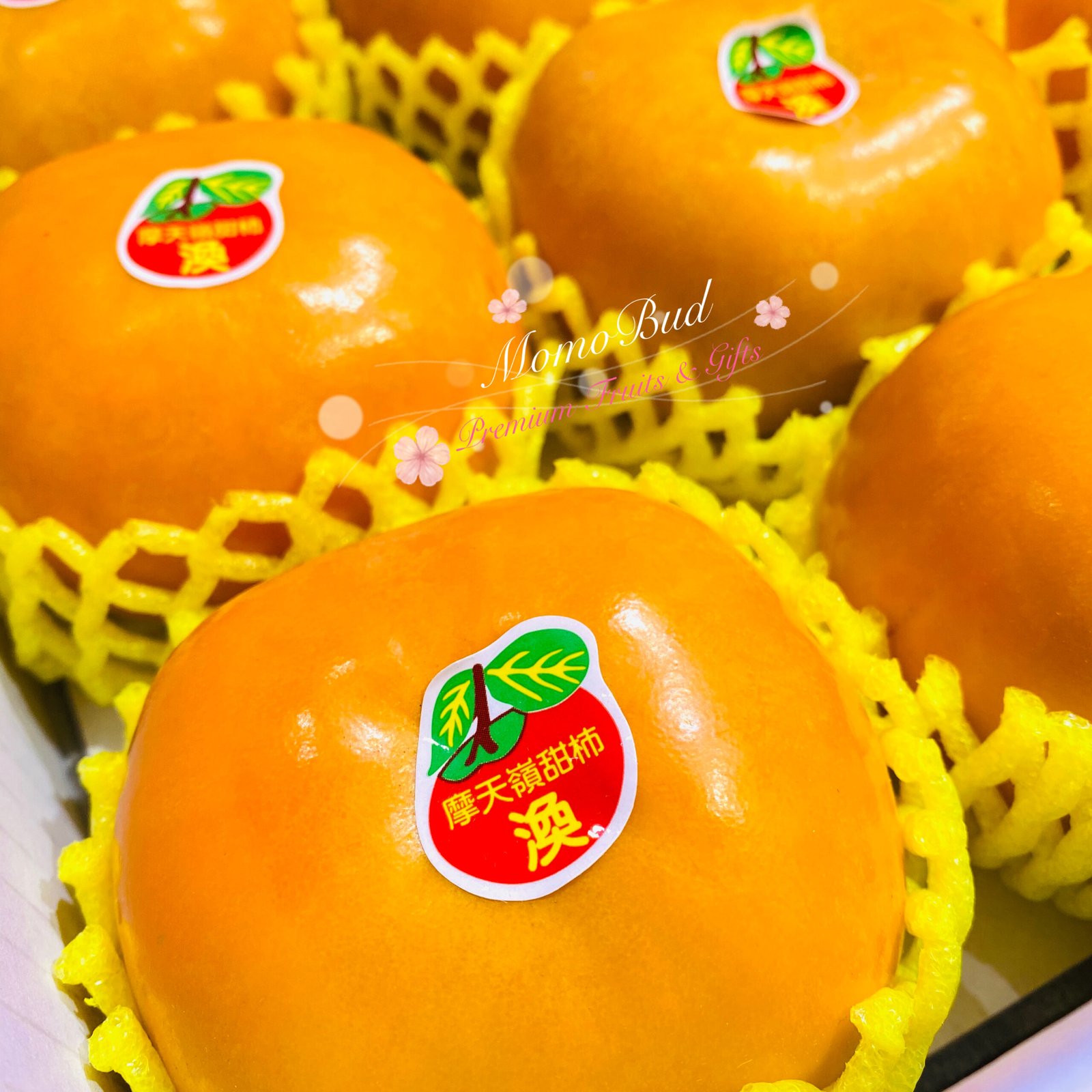 Taiwan Premium Sweet Fuyu Persimmon (Air-Flown, Large) - Image 2