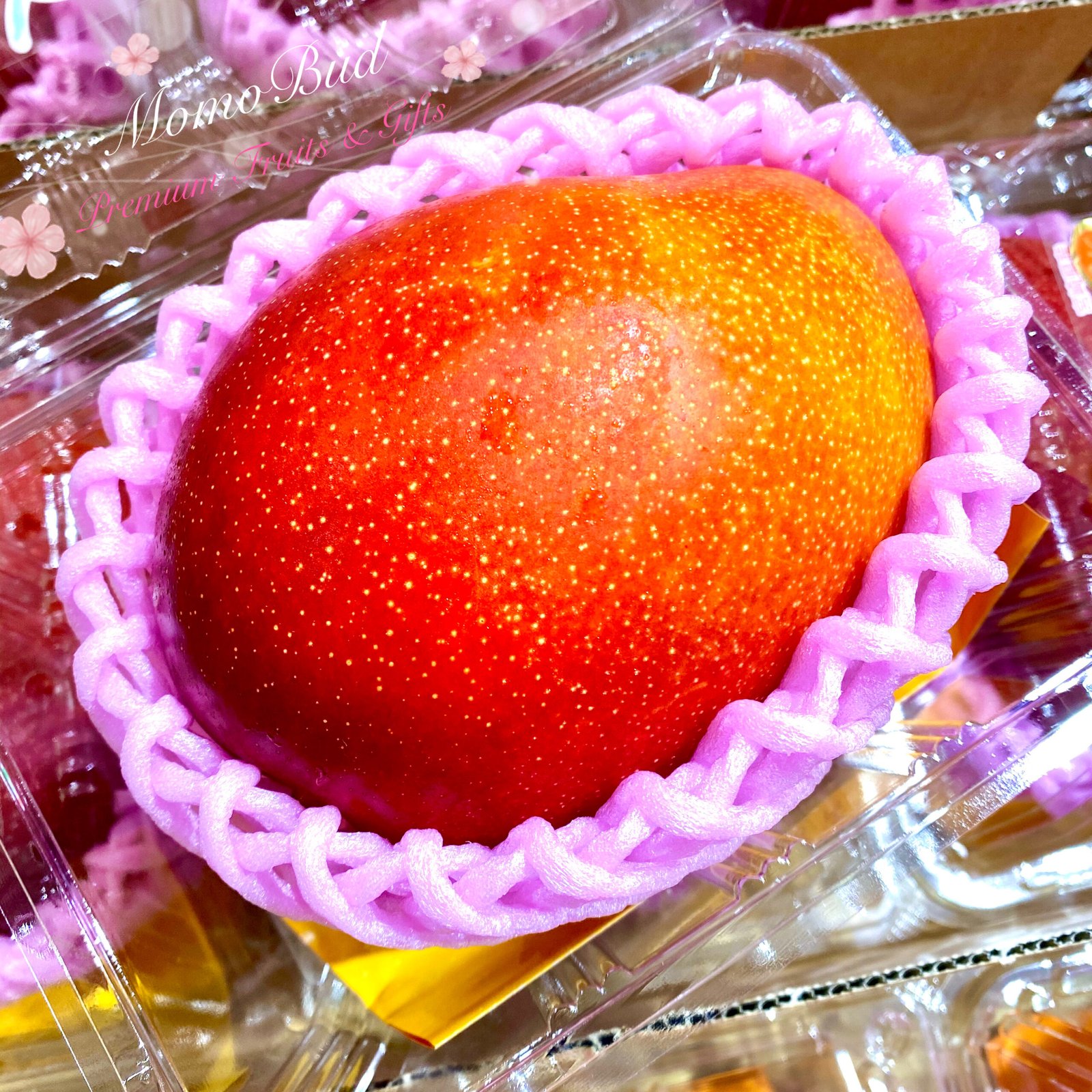 Japanese Miyazaki Kanjuku Mango - Image 2