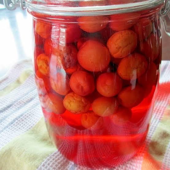 *Exclusive* Japanese Beni Nanko Red Ume (Plum) - Image 5