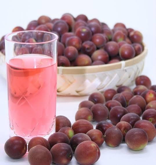 *Exclusive* Japanese Beni Nanko Red Ume (Plum) - Image 4