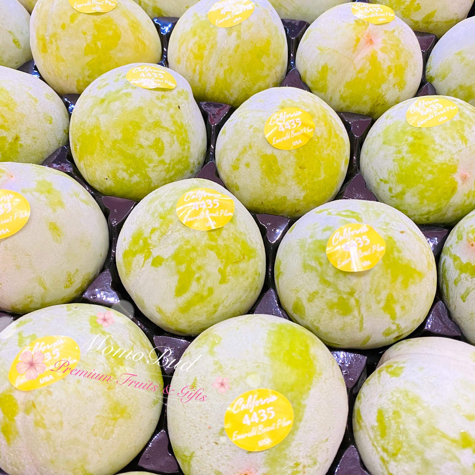 Emerald Beaut Pluot Box - Image 2