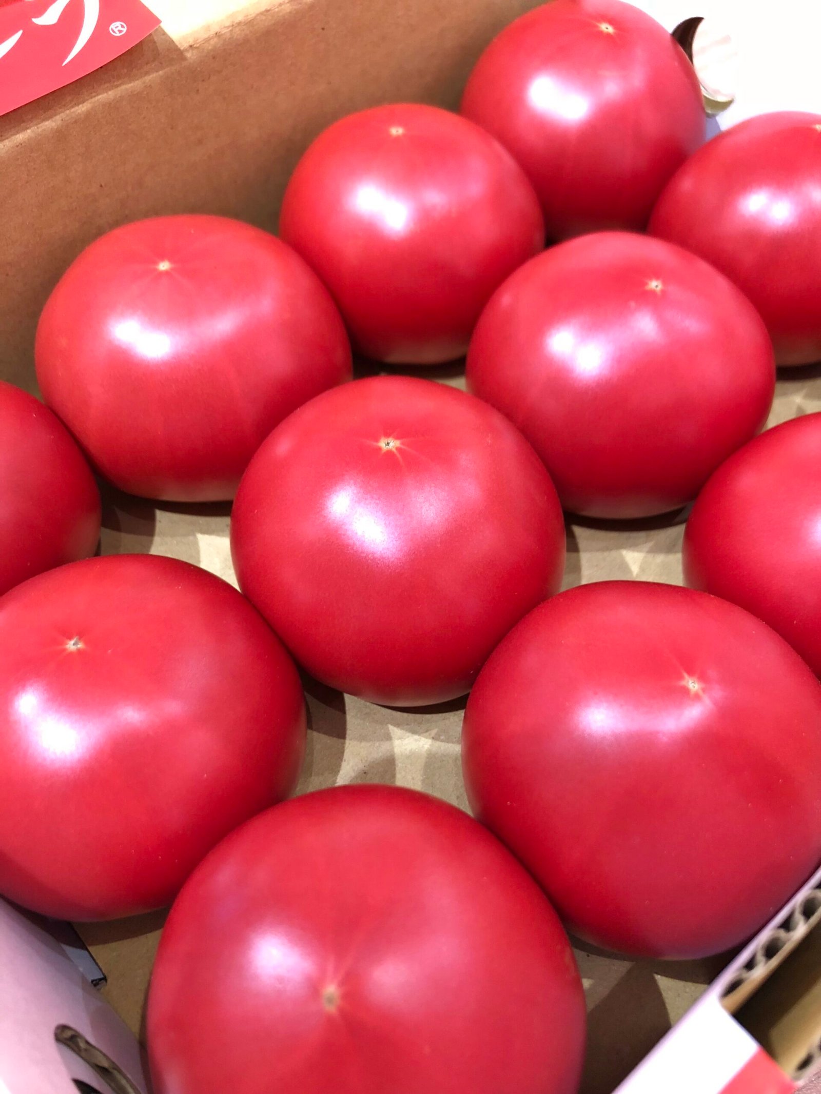 Japanese Amela Tomato Gift Box - Image 4
