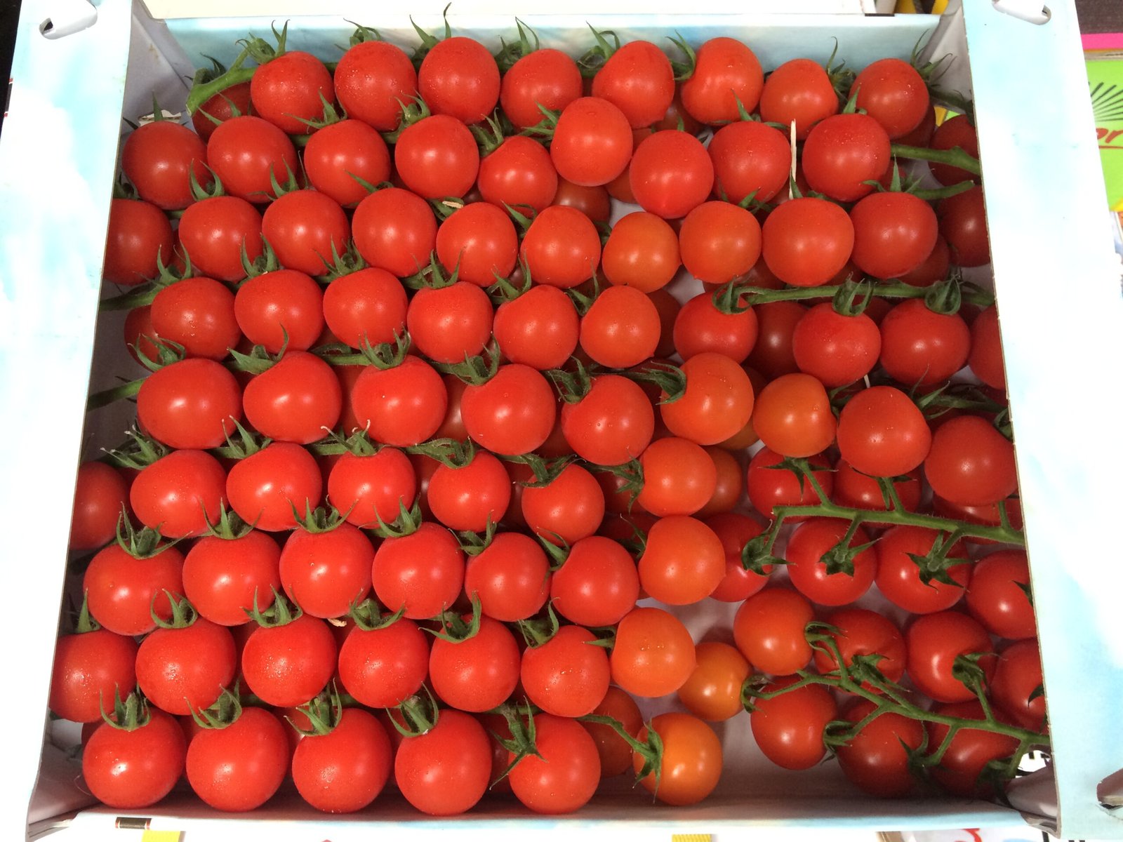 Cherry Tomatoes (On Vine) Box - Image 2