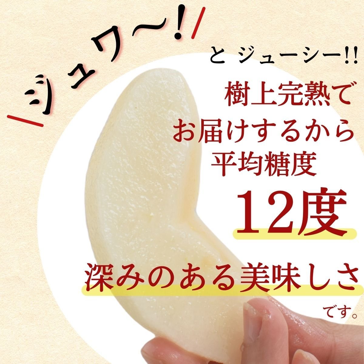 Japanese Oita Hita Atago Pear (X-Jumbo) - Image 3