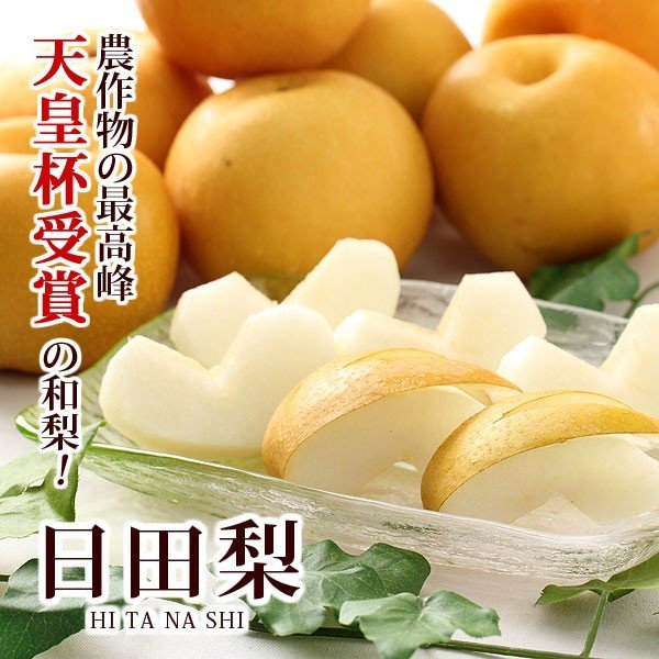 Japanese Oita Hita Atago Pear (X-Jumbo) - Image 2
