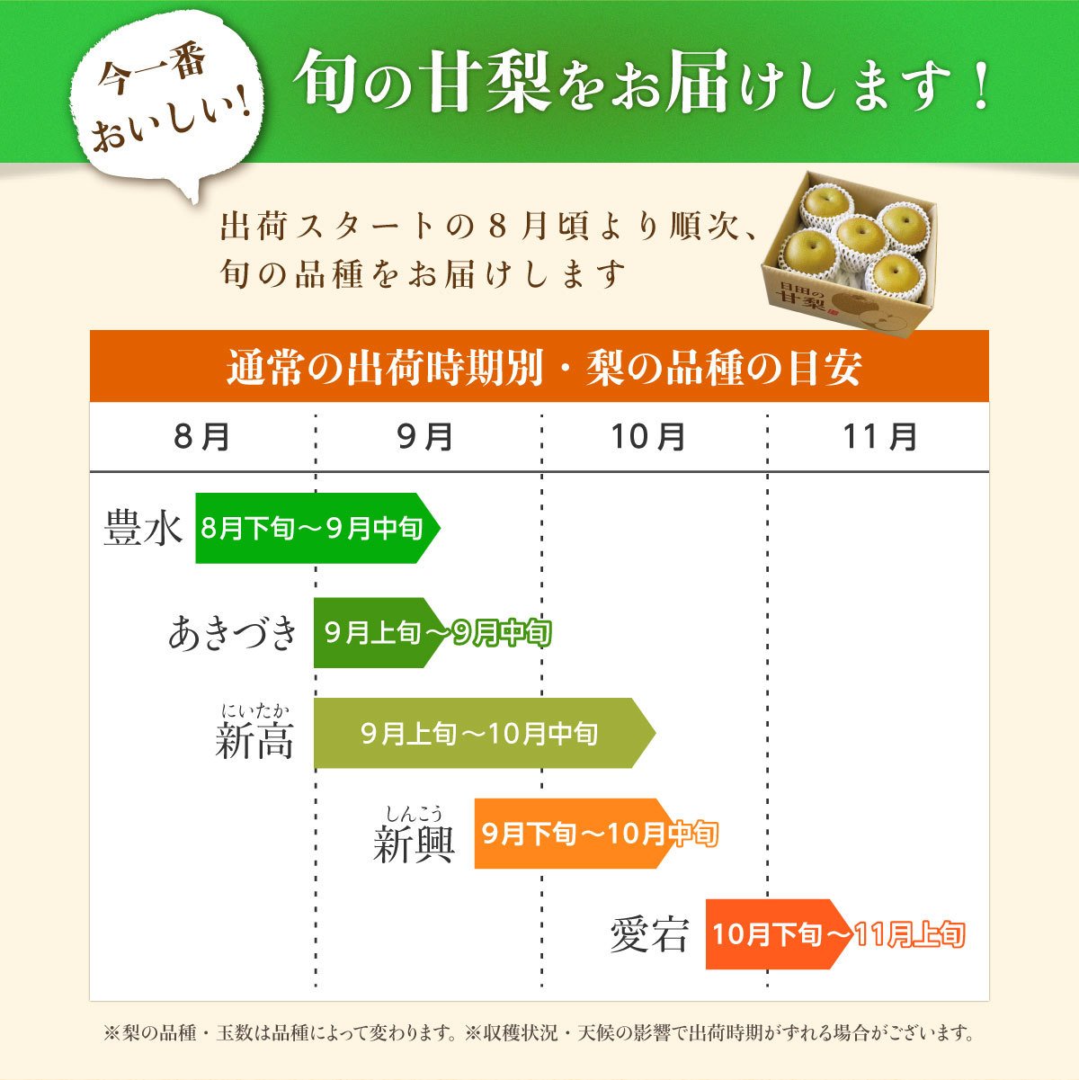 Japanese Oita Hita Atago Pear (X-Jumbo) - Image 6