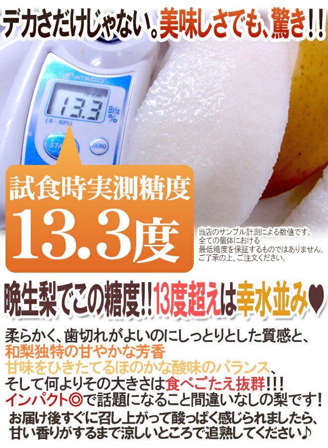 Japanese Oita Hita Atago Pear (X-Jumbo) - Image 7
