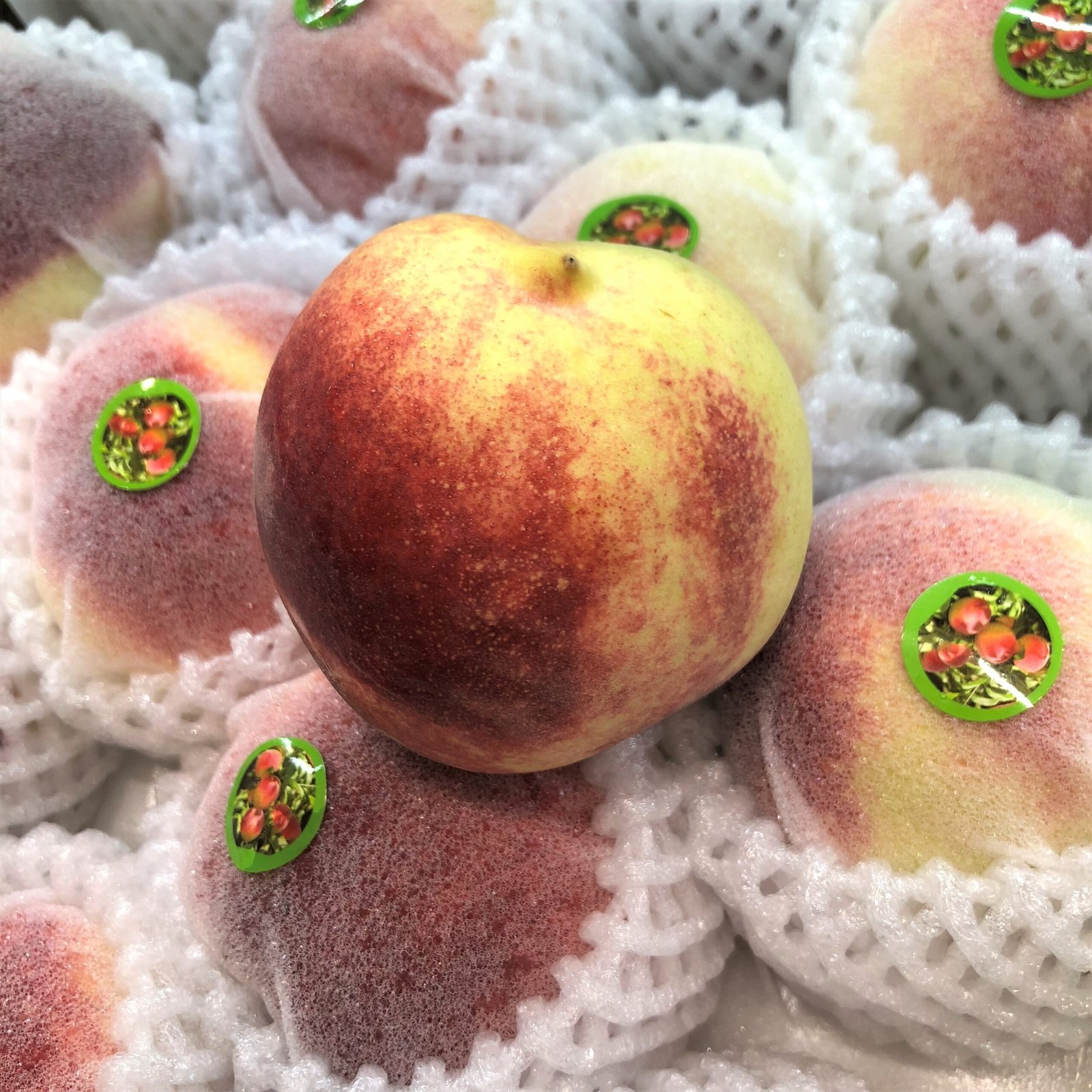 Gui Fei Honey White Peach - Image 2