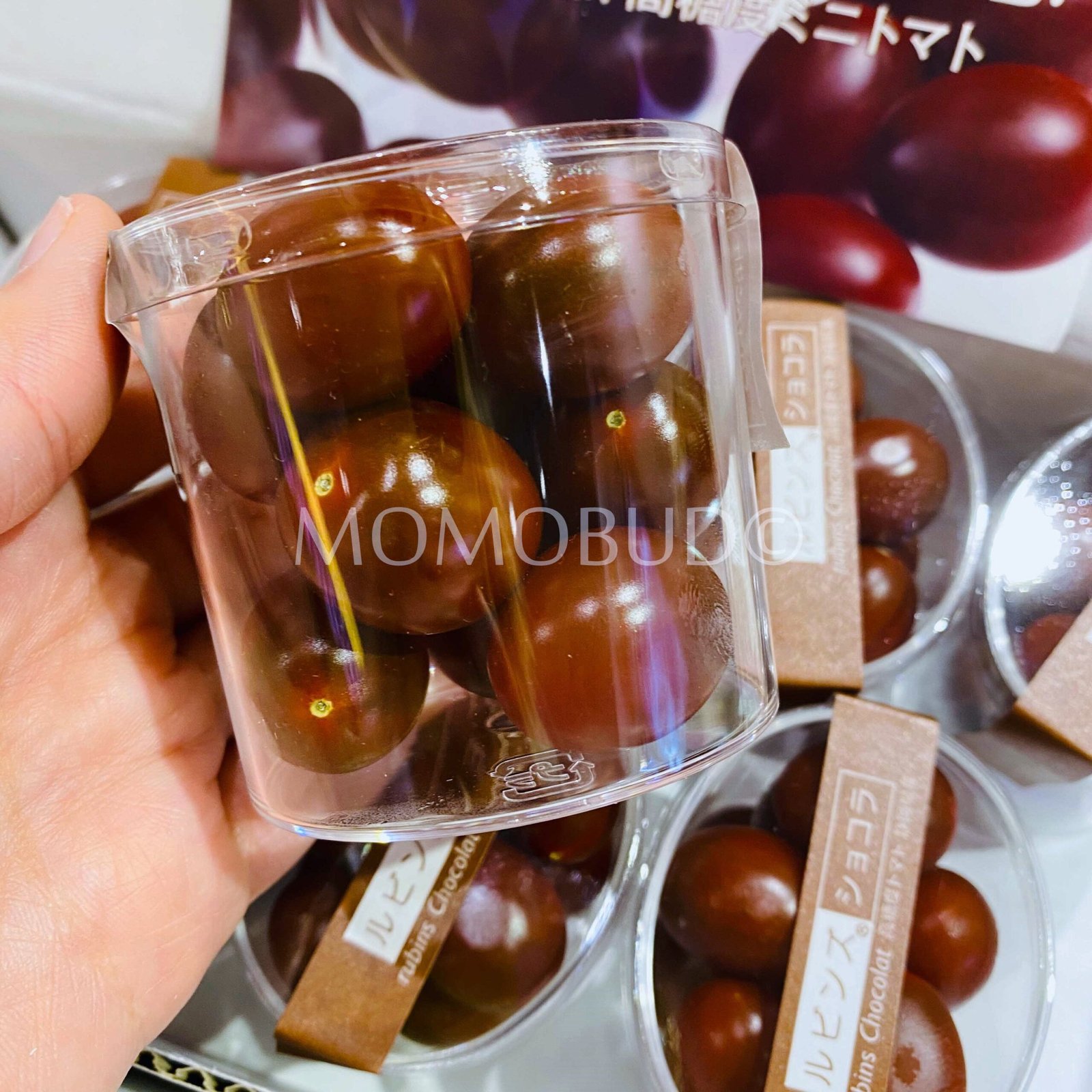 Japanese Rubins Chocolate Tomato (70g cup) - Image 3