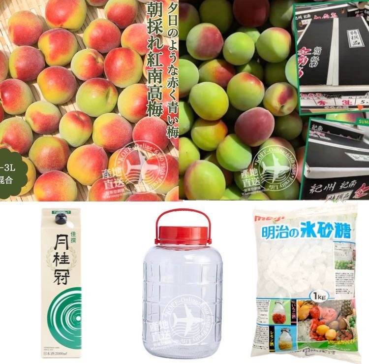 Japanese Nankou Ume (Plum) - Image 5