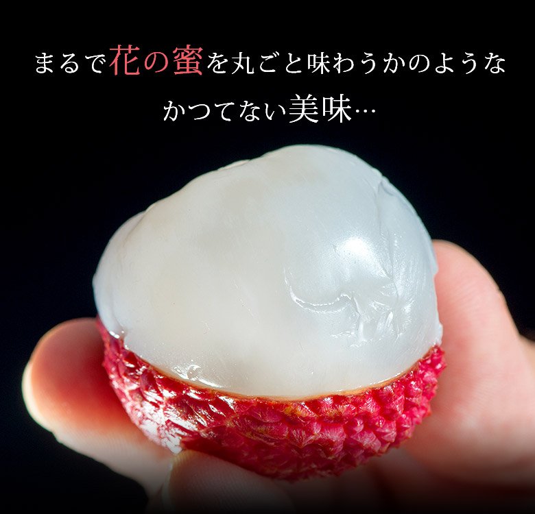 Japanese Miyazaki Red Lychee Gift Box (400g) - Image 3