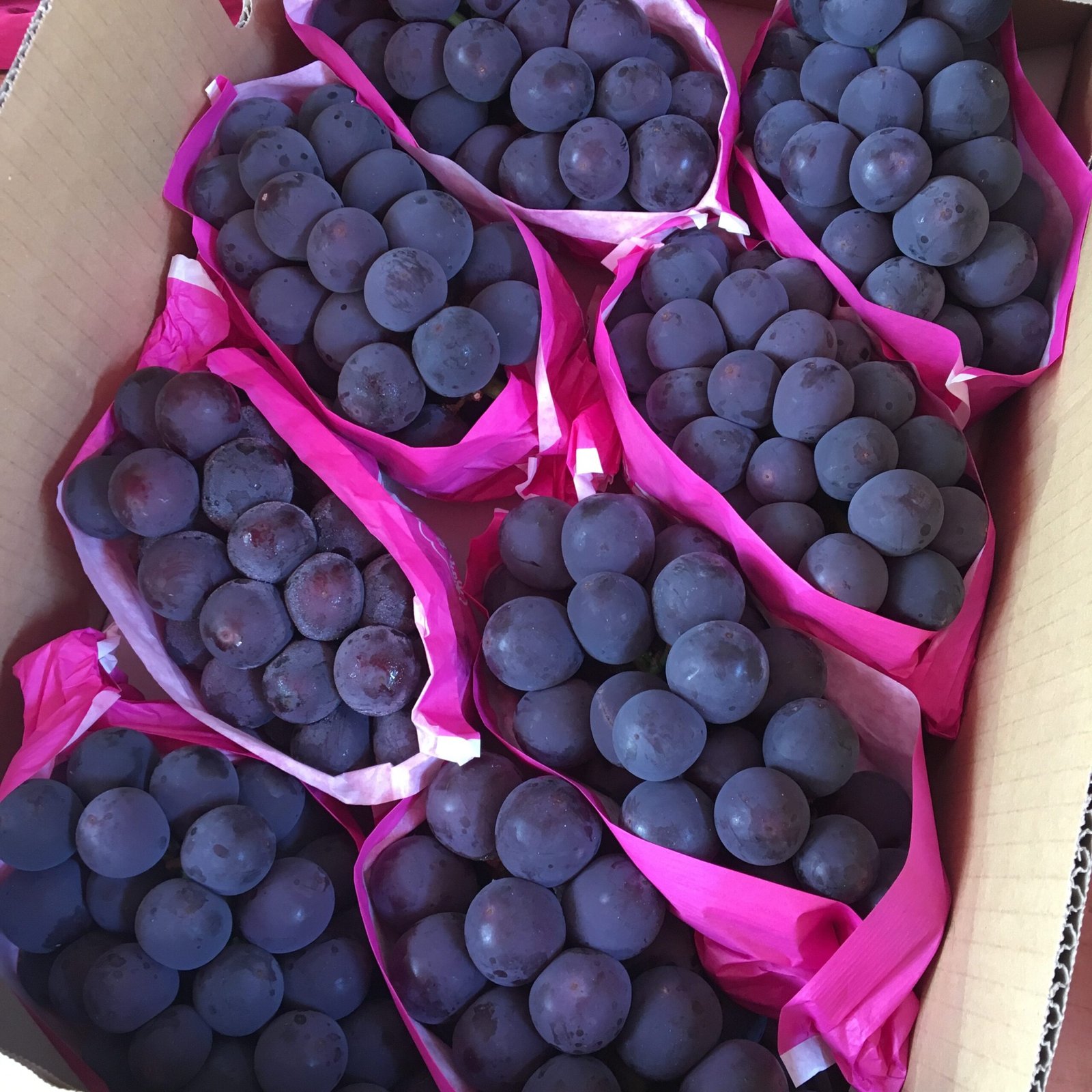 Japanese Nagano Purple Seedless Grapes - Image 3