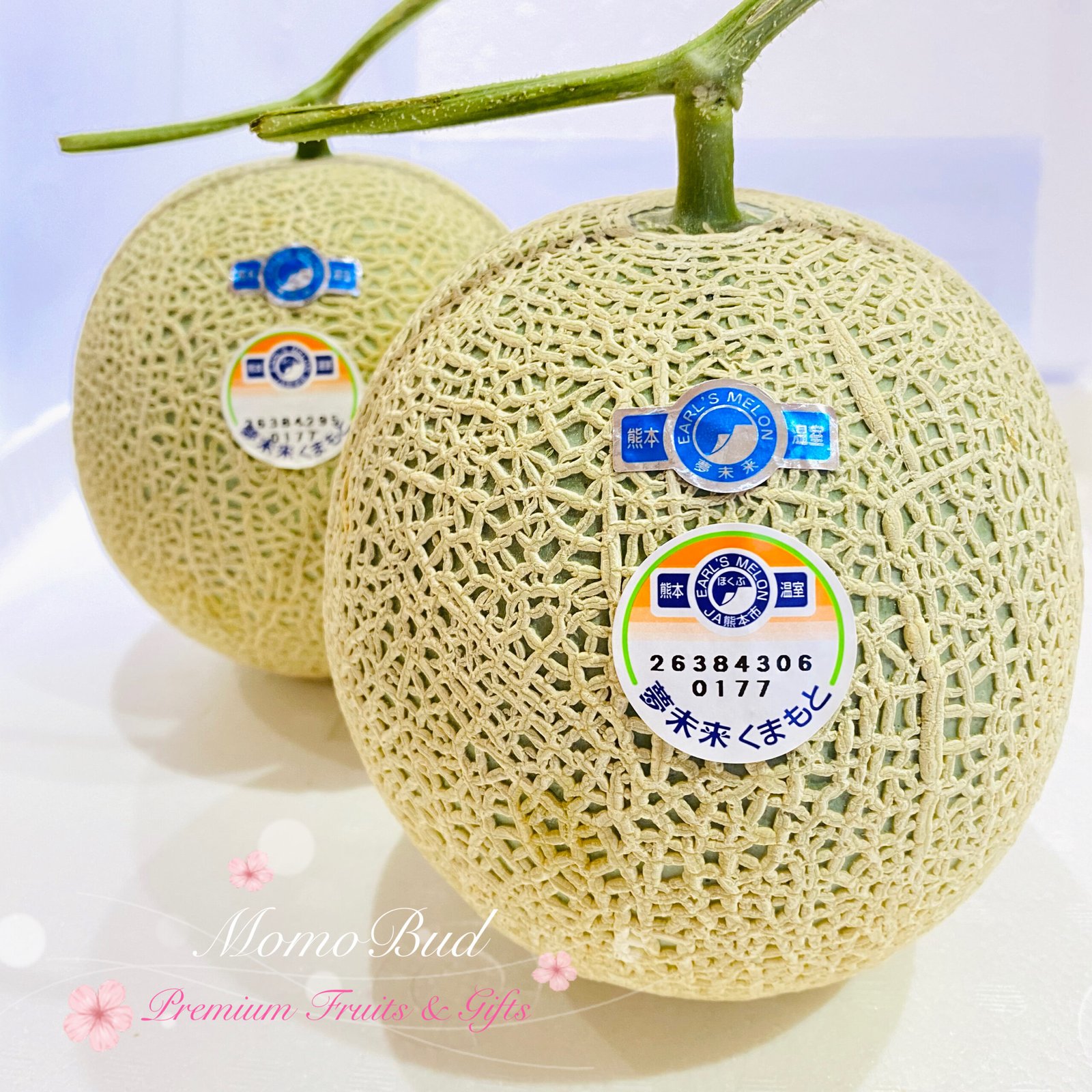 Kumamoto Arus Red Muskmelon Box (4kg, 2pcs) - Image 2