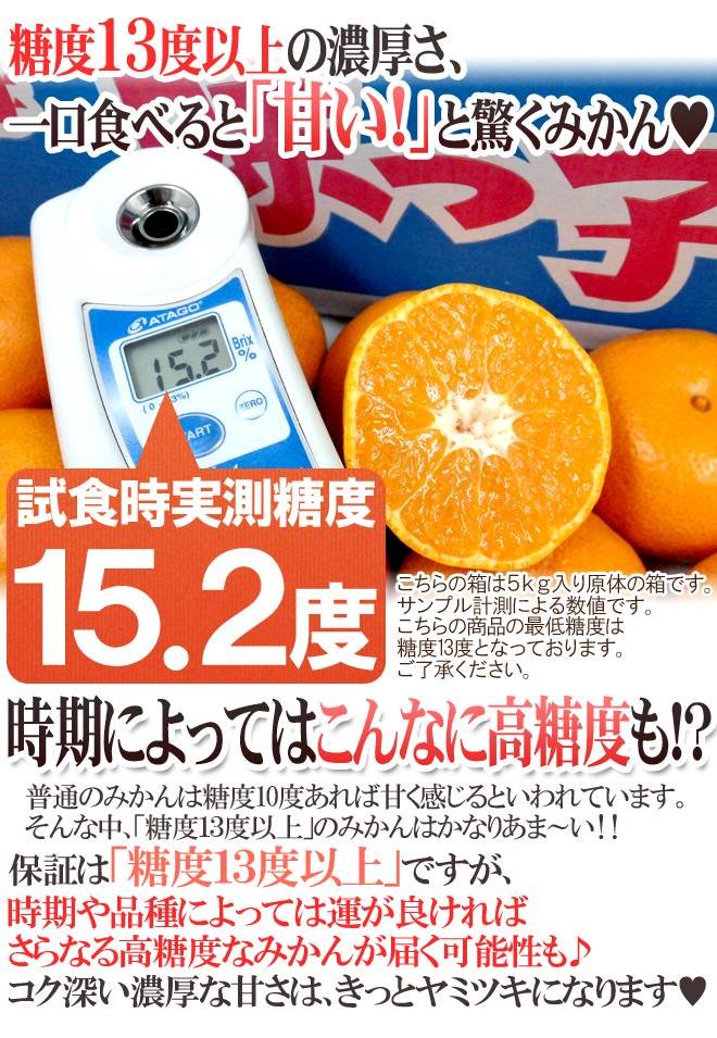 Japanese Saikai Ajikko Mikan (Mandarin Orange) Gift Box (1.2kg) - Image 6
