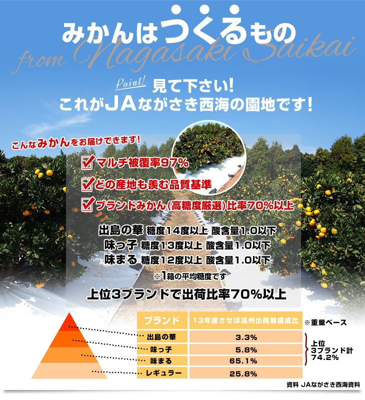 Japanese Saikai Ajikko Mikan (Mandarin Orange) Gift Box (1.2kg) - Image 5