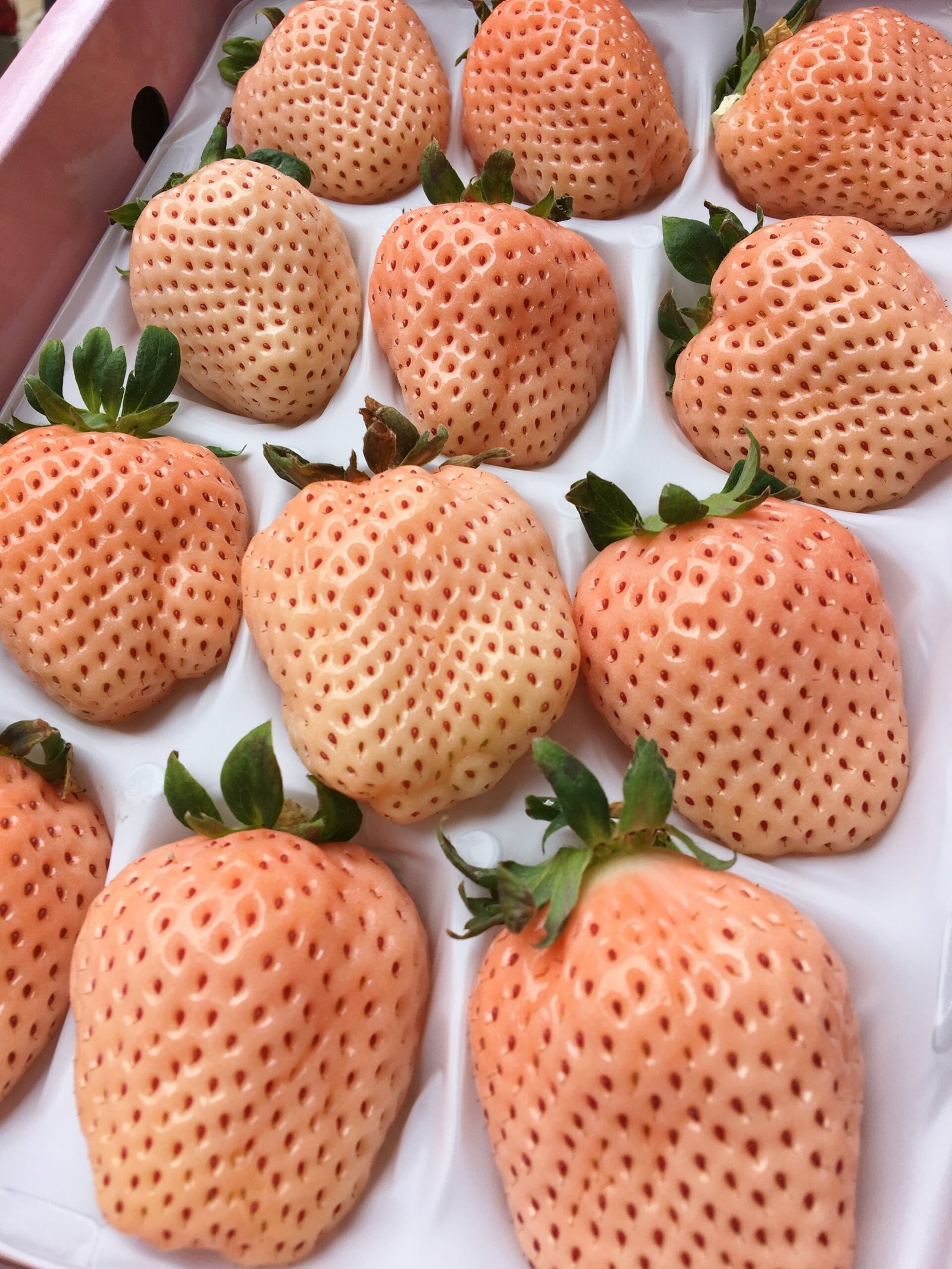 Japanese Awayuki Ichigo (Strawberry) Gift Box - Image 2