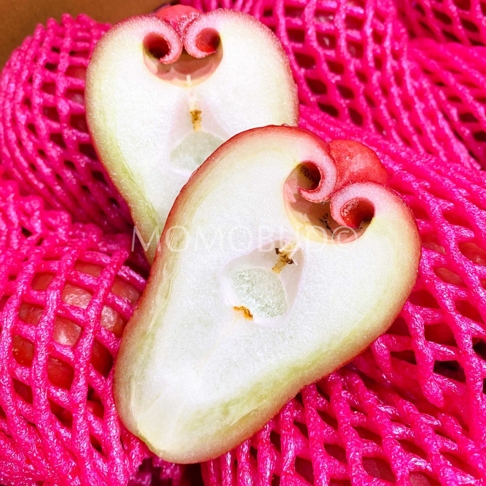 Taiwan Water Rose Apple (Jambu) Gift Set - Image 3