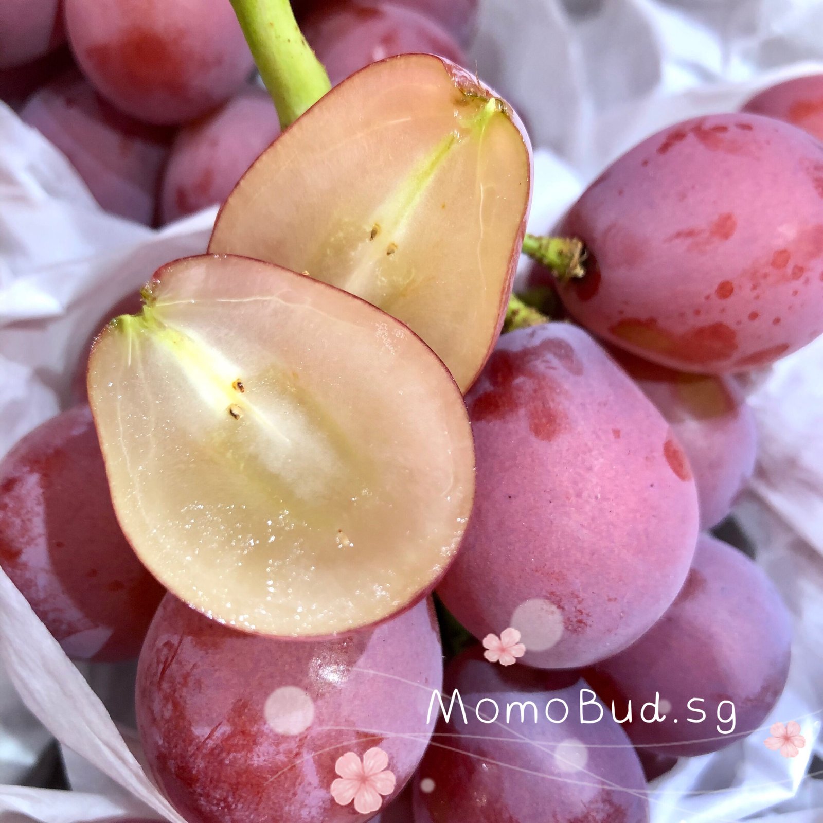 Japanese Queen Nina Seedless Grape Gift Box - Image 3