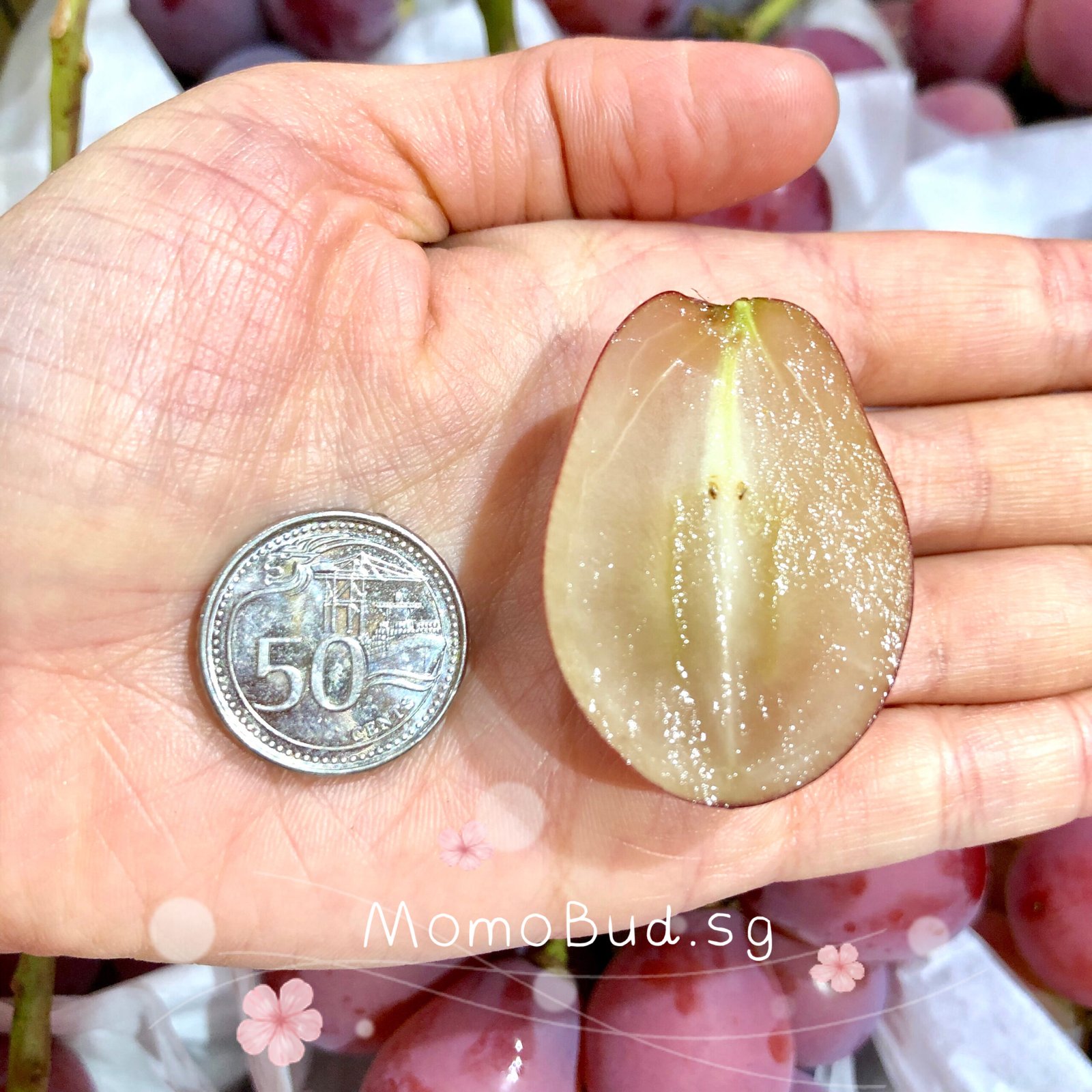 Japanese Queen Nina Seedless Grape Gift Box - Image 4