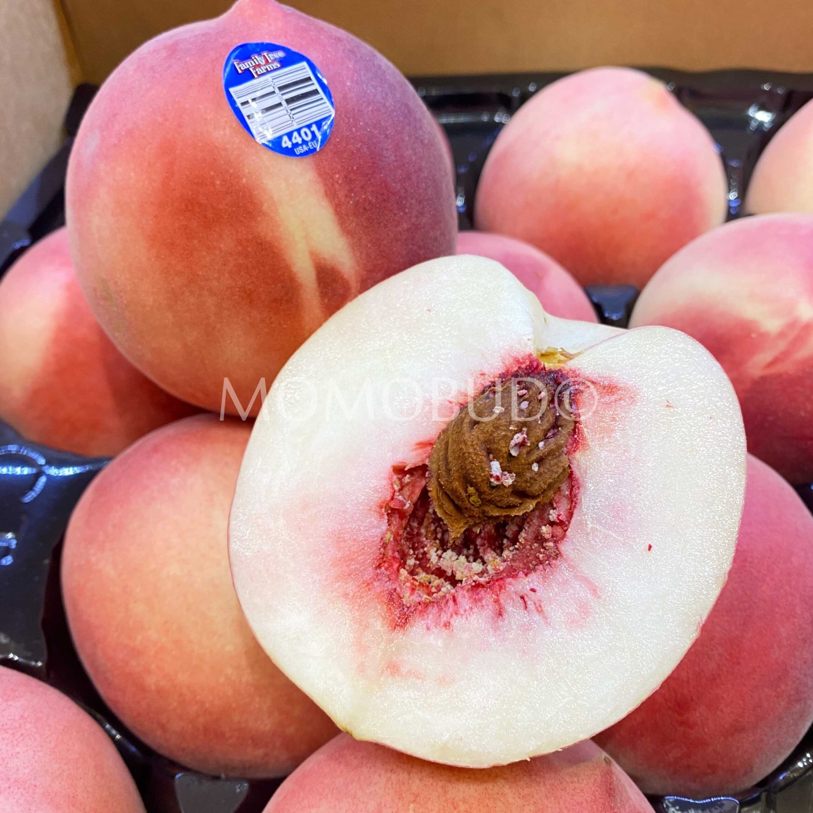Family Farm Tree® Pink Moon Peach (Jumbo) - Image 2