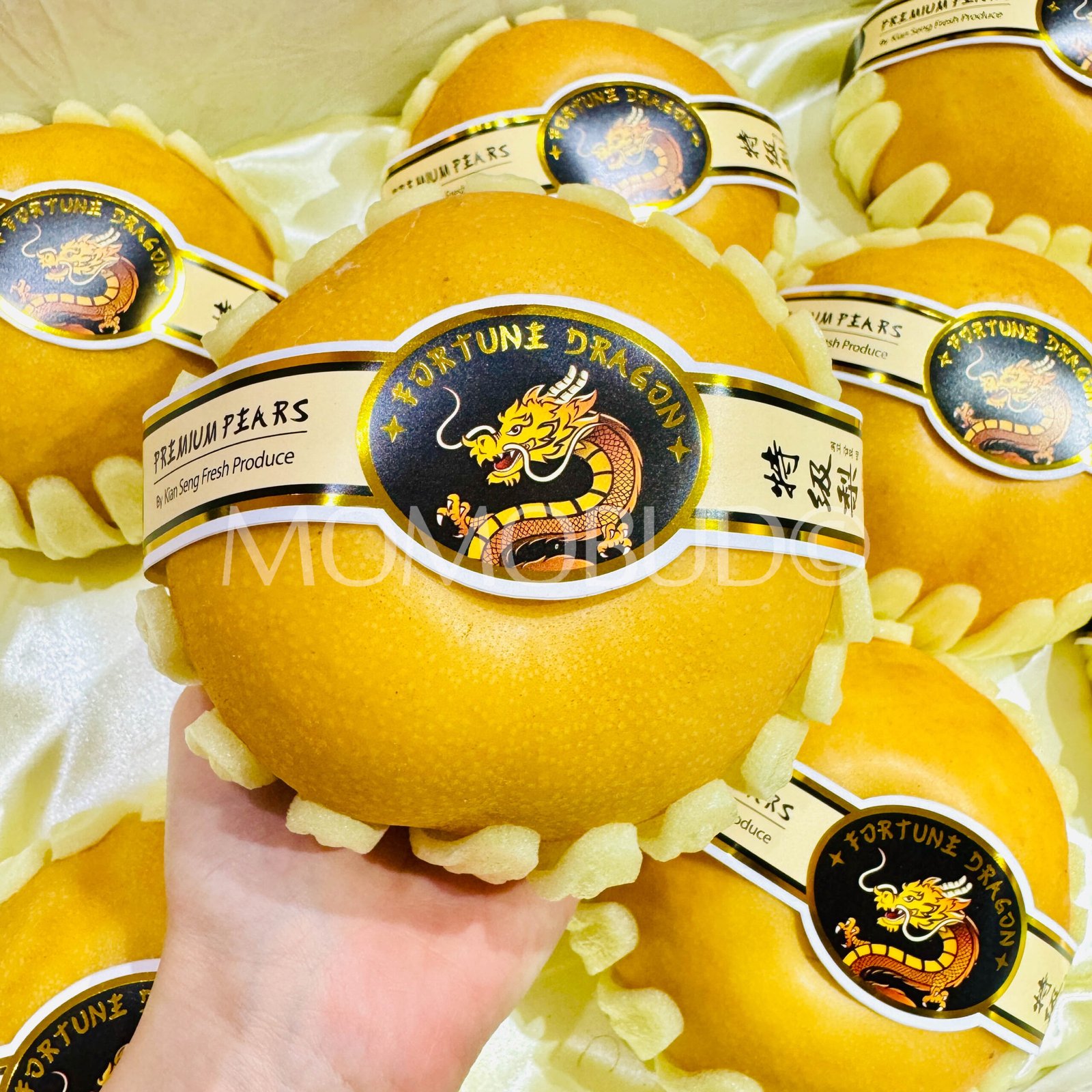Premium China Fortune Dragon Nan Shui Pear (Medium) - Image 4