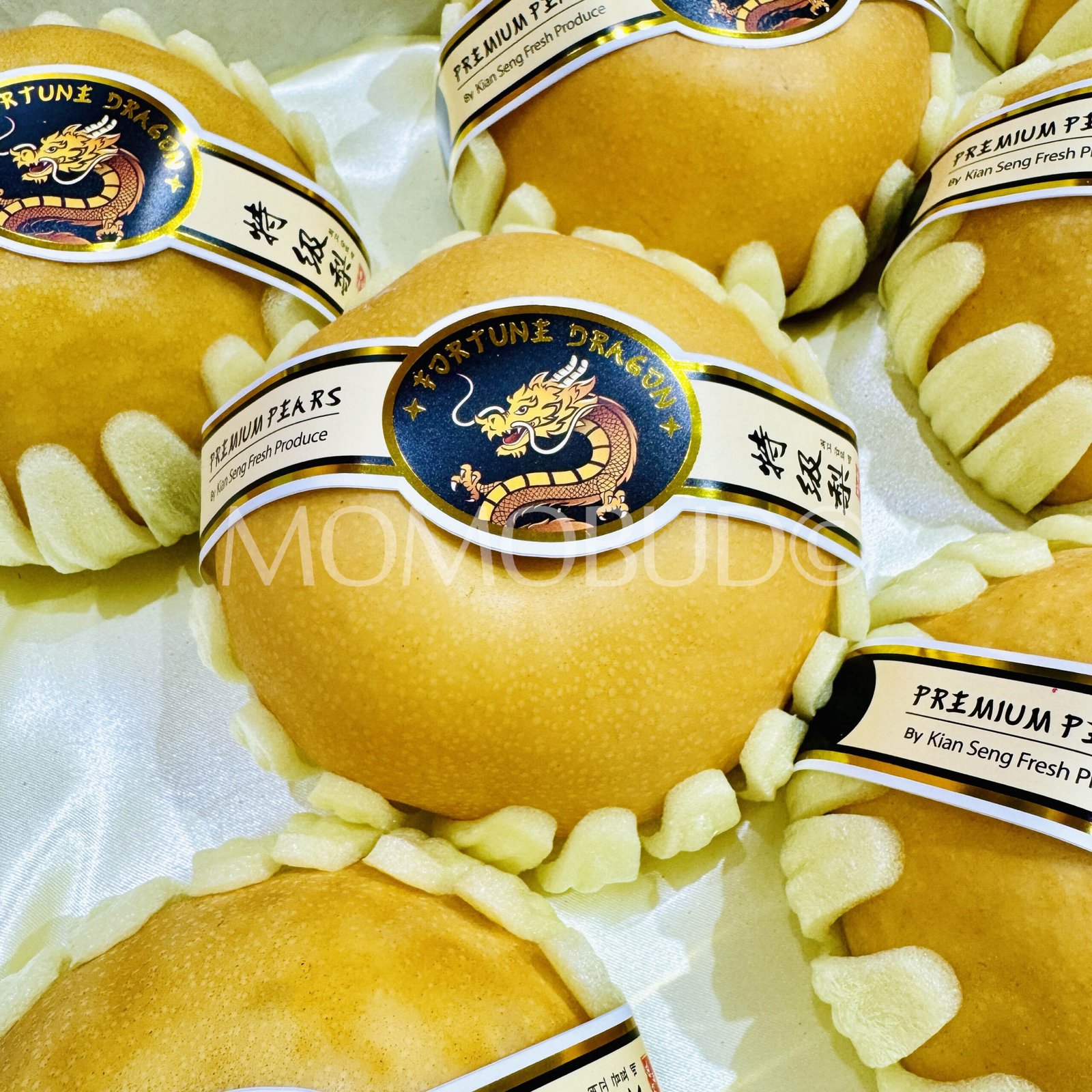 Premium China Fortune Dragon Nan Shui Pear (Medium) - Image 3