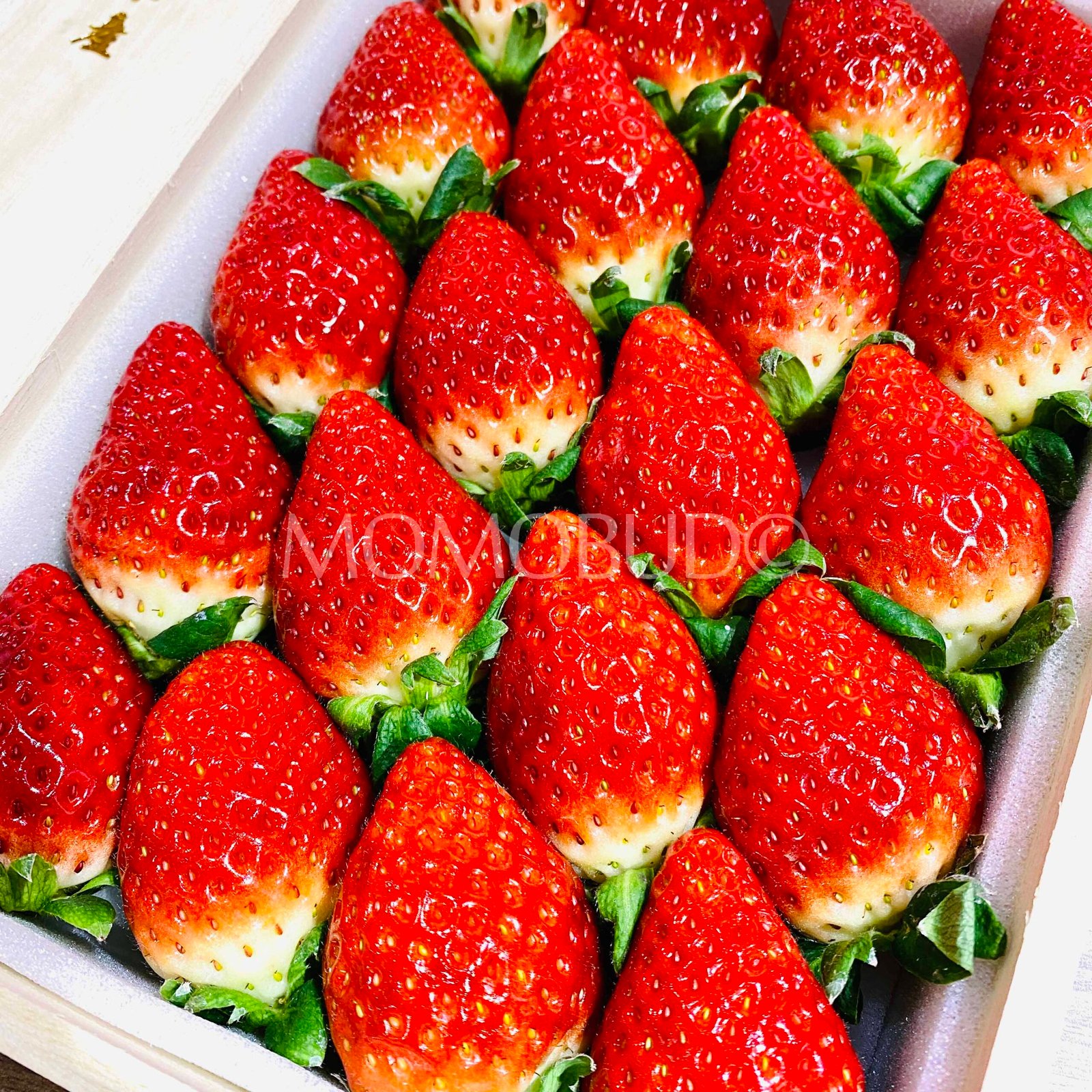 Premium Japanese Ichigosan Strawberry Wooden Gift Box (450g) - Image 3