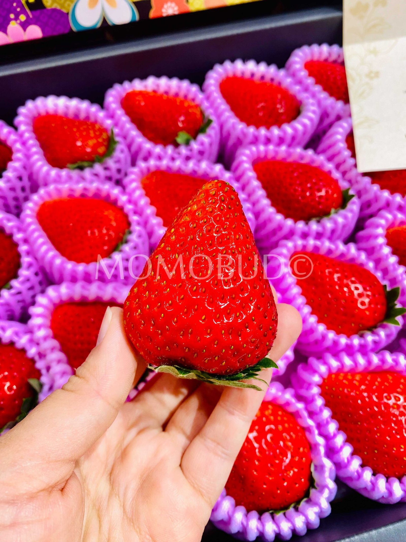 Premium Japanese Jumbo Kyo no Shizuku Ichigo (Strawberry) Gift Box (Large, 1kg) - Image 4