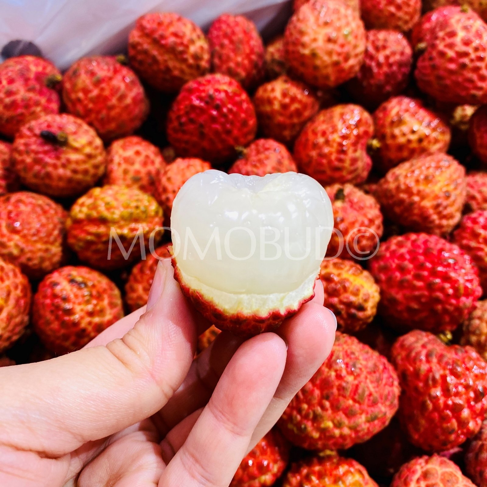Premium Salathiel (Lou Mai Chee) Lychee - Image 4