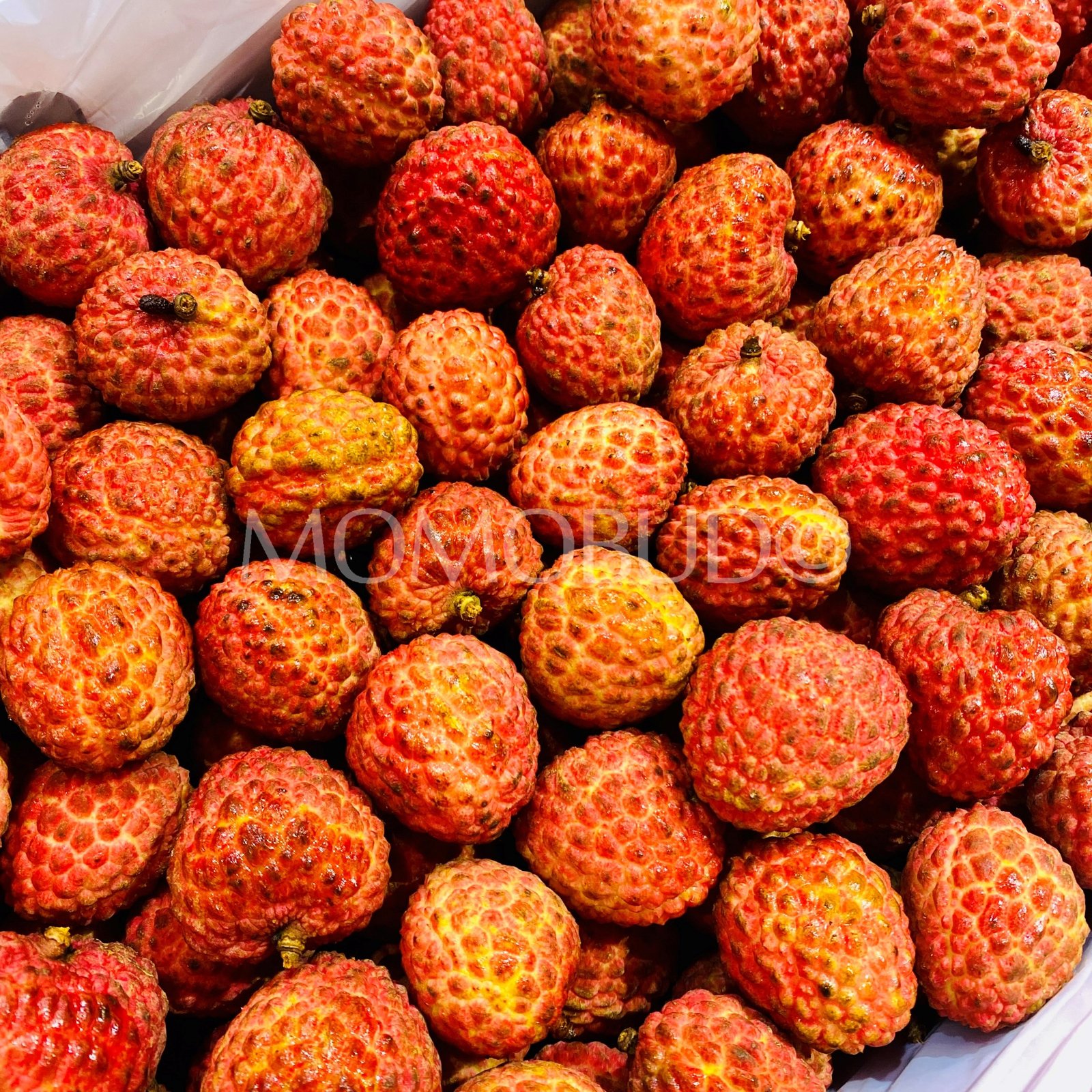 Premium Salathiel (Lou Mai Chee) Lychee - Image 3